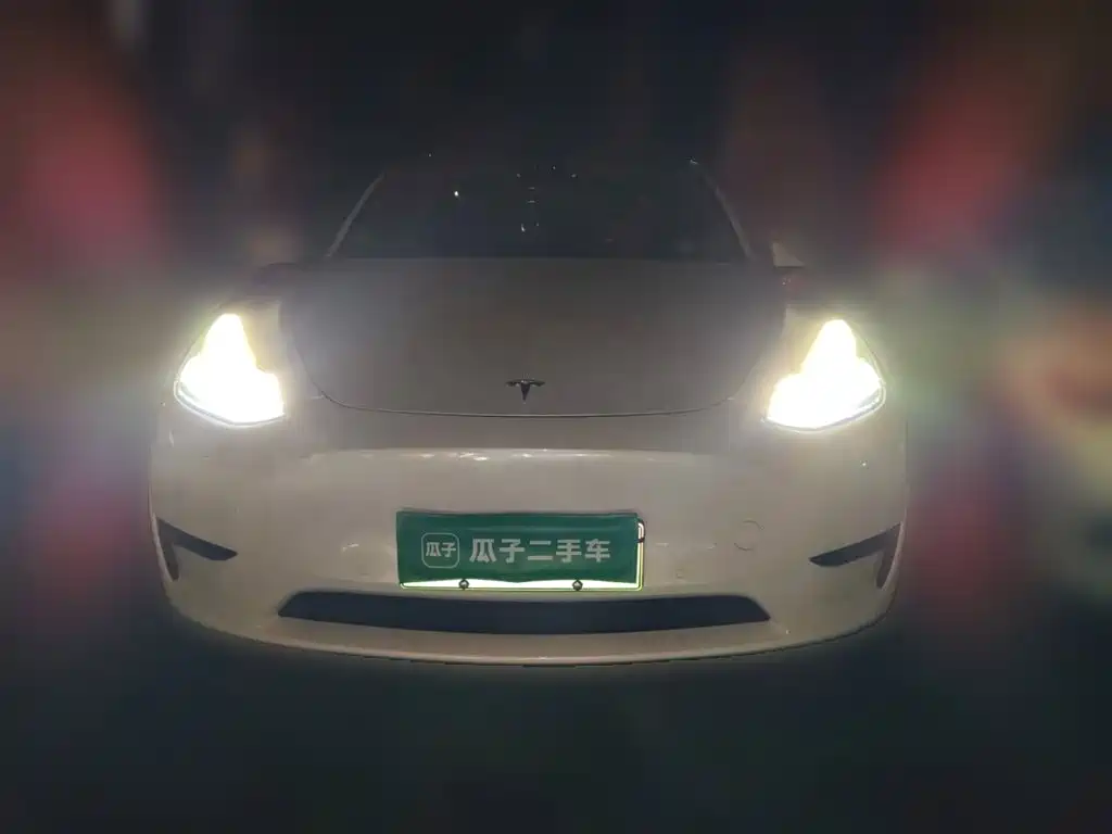 Tesla Model Y — миниатюра 2