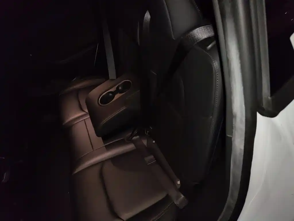 Tesla Model Y — миниатюра 13