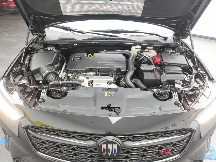 Buick Regal — миниатюра 10
