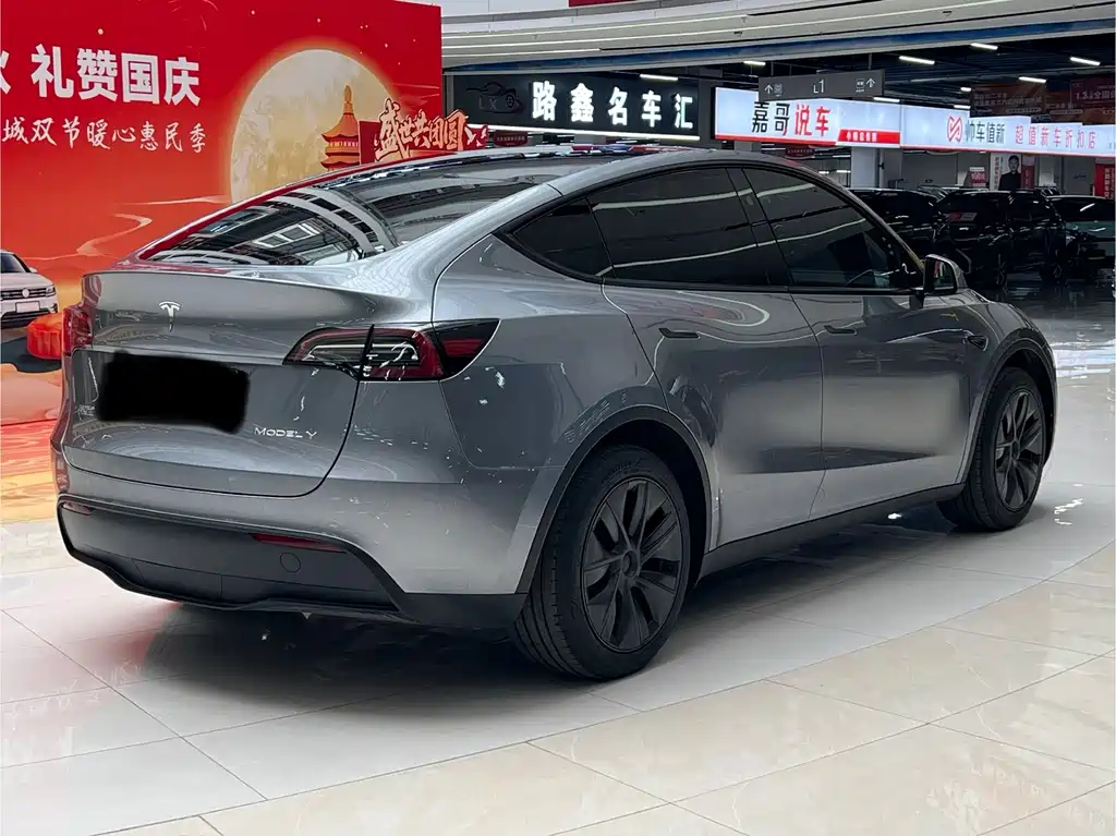 Tesla Model Y — миниатюра 9