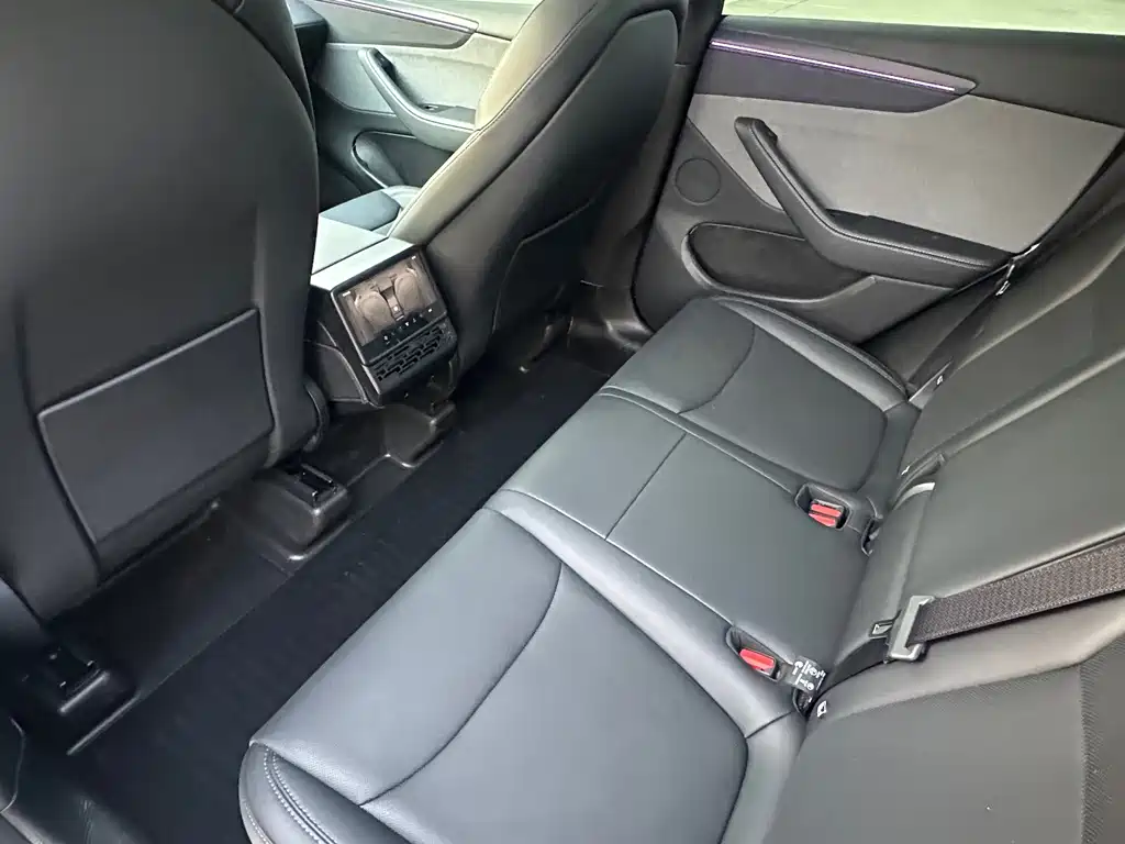 Tesla Model Y — миниатюра 7