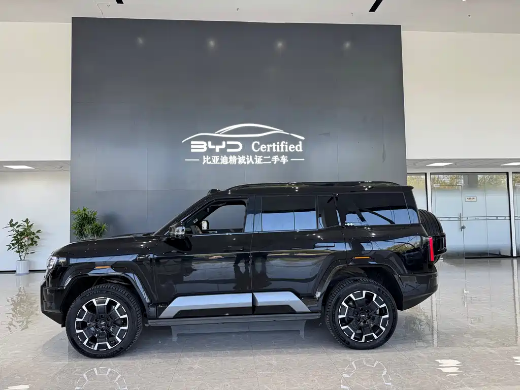 FANG CHENG BAO LEOPARD 8