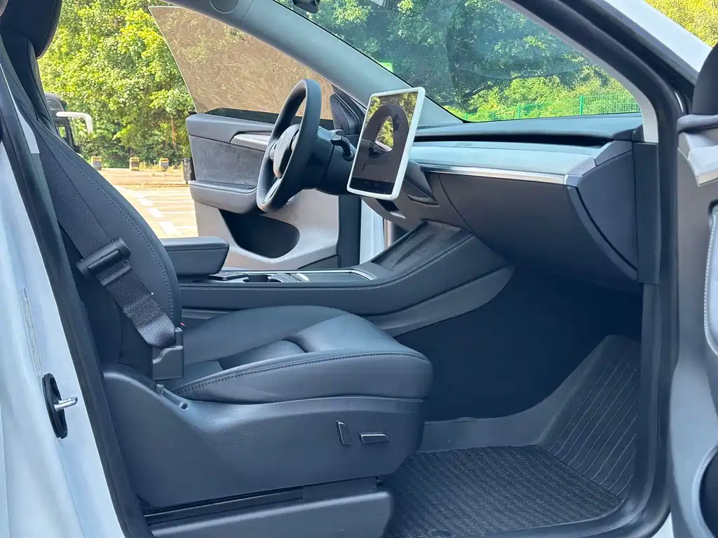 Tesla Model Y — миниатюра 7