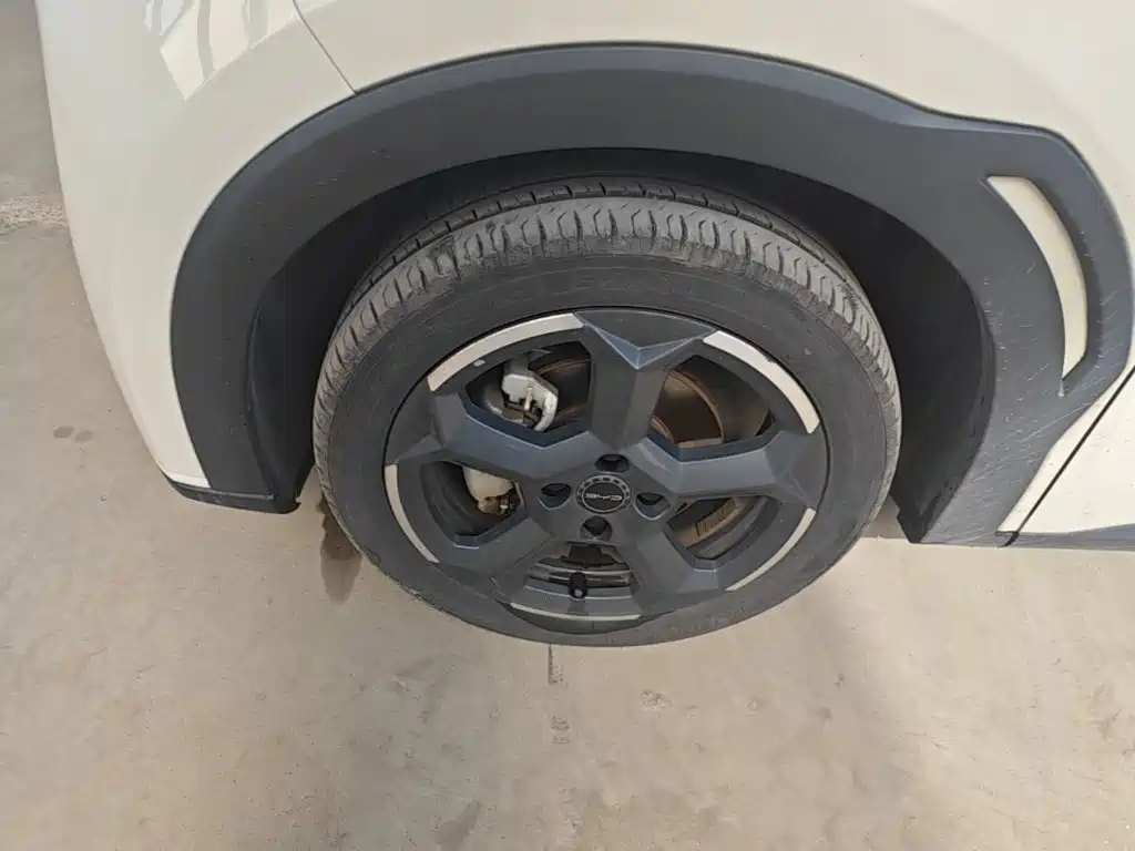 BYD Seagull — миниатюра 23
