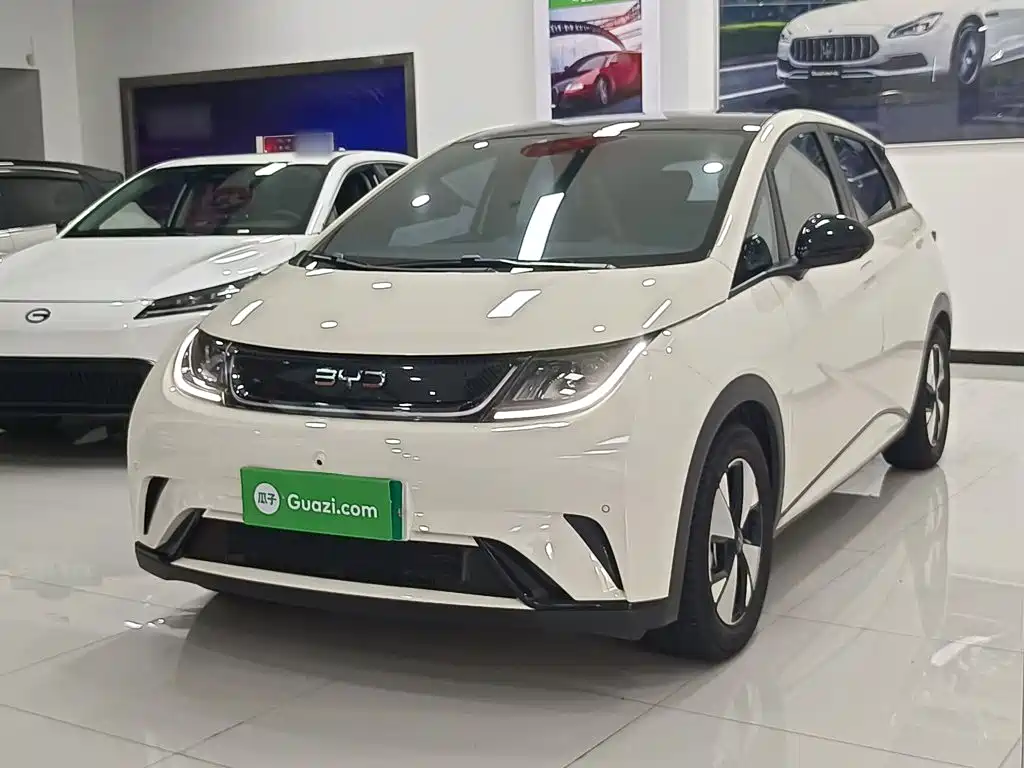 BYD Dolphin — миниатюра 2