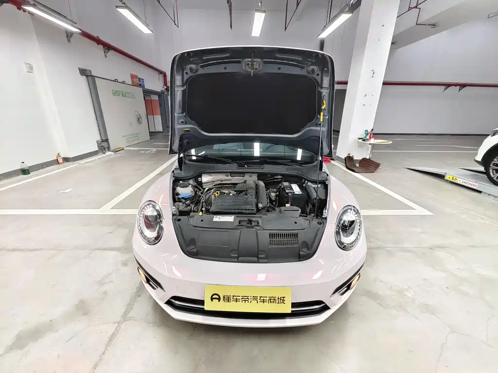 Volkswagen Beetle — миниатюра 19