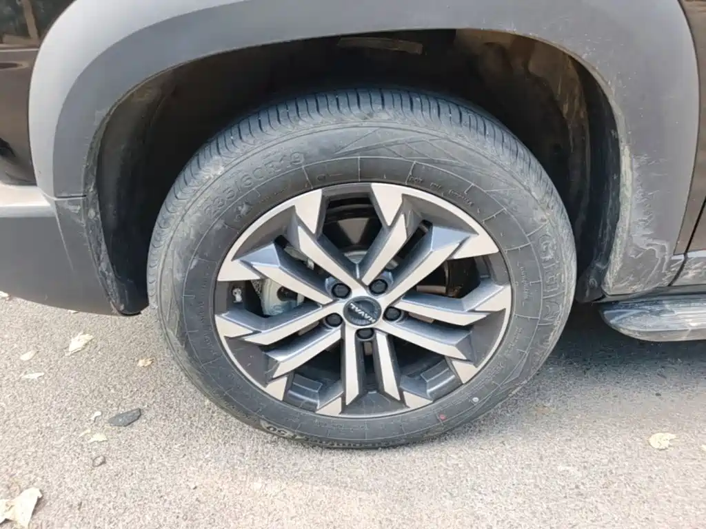 Haval Big Dog — миниатюра 23