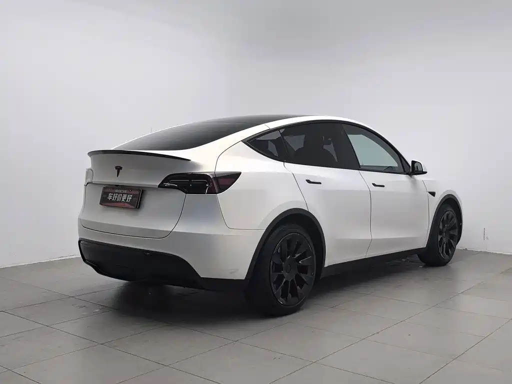 Tesla Model Y — миниатюра 2