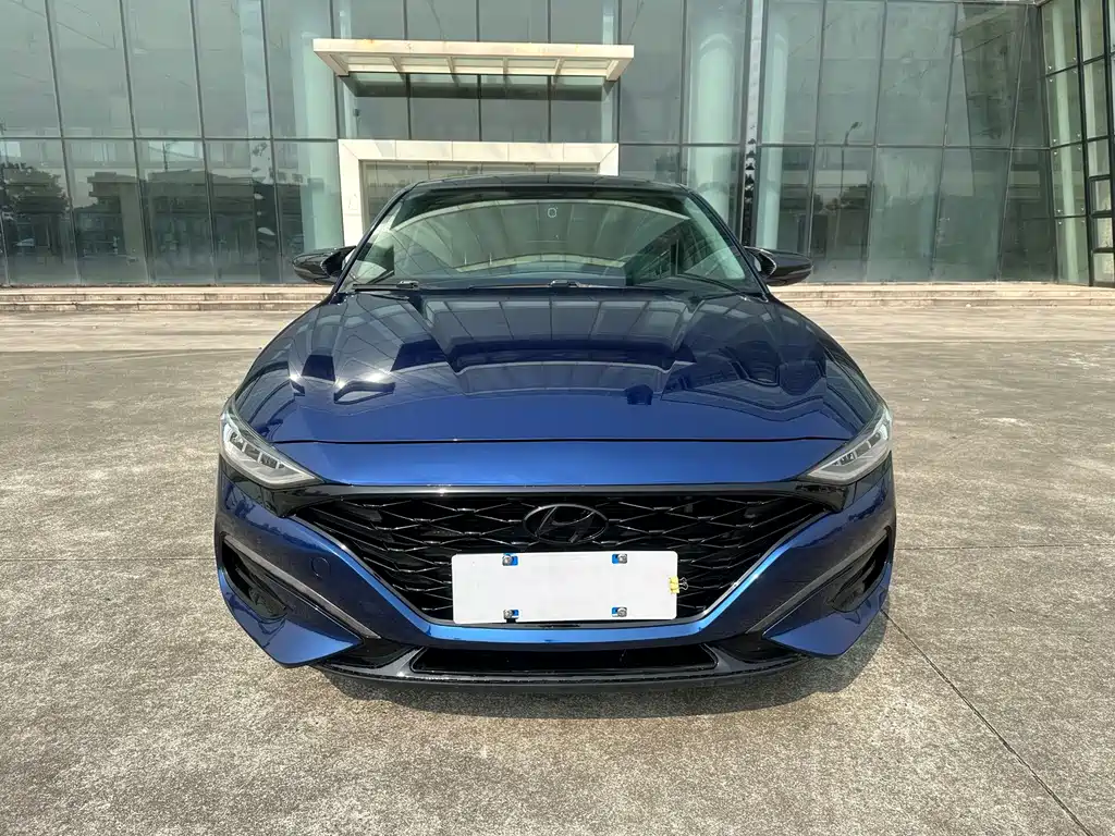 Hyundai Fista — миниатюра 2