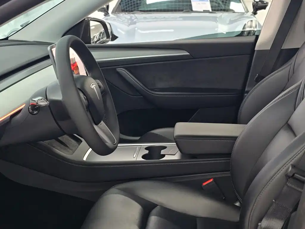 Tesla Model Y — миниатюра 4