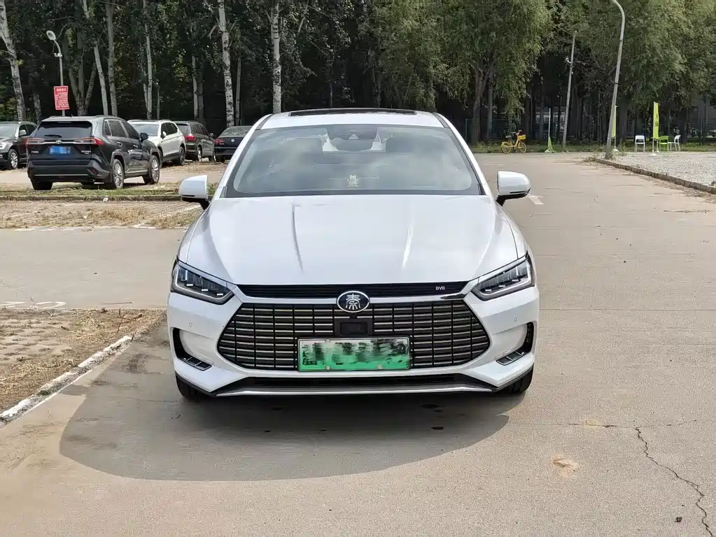 BYD Qin Pro NEV — миниатюра 2