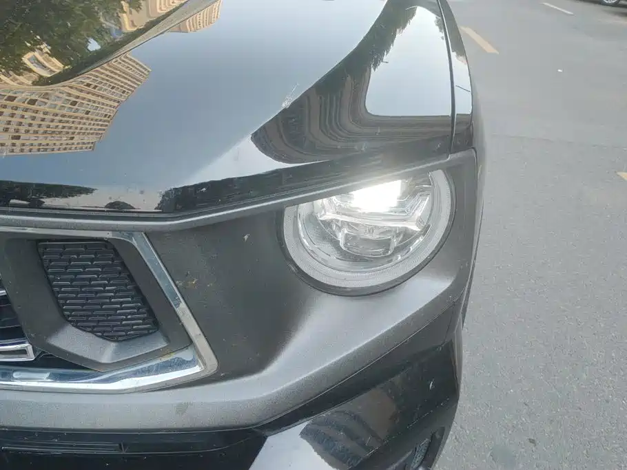 Haval Big Dog PLUS — миниатюра 5