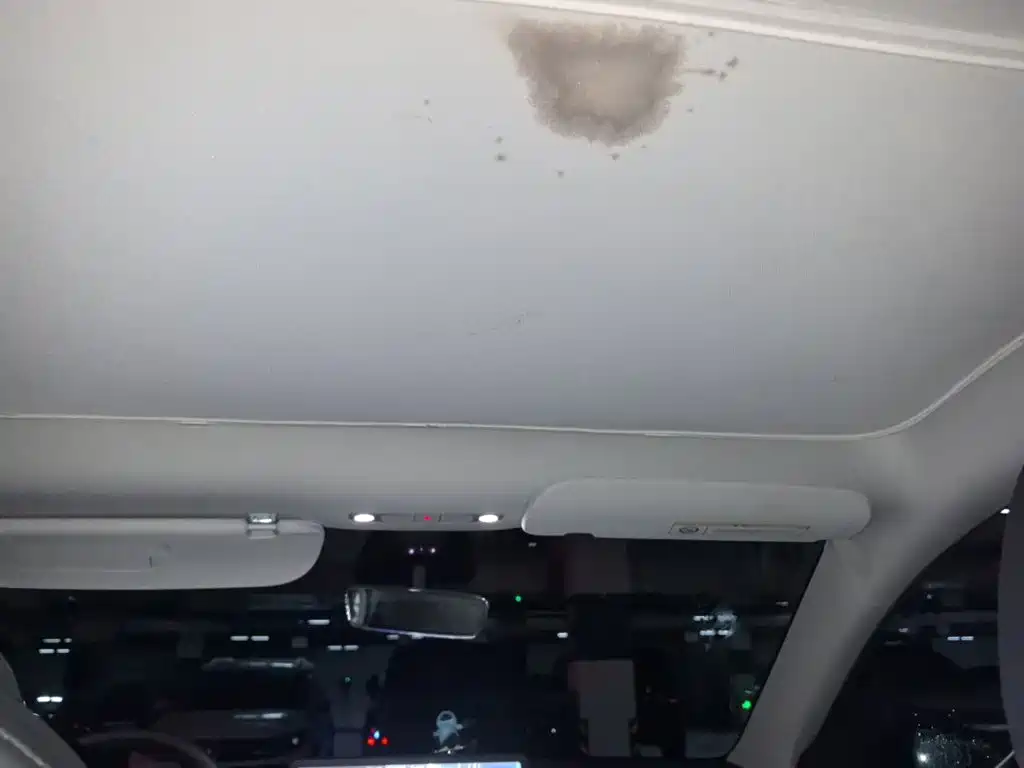 Tesla Model Y — миниатюра 14
