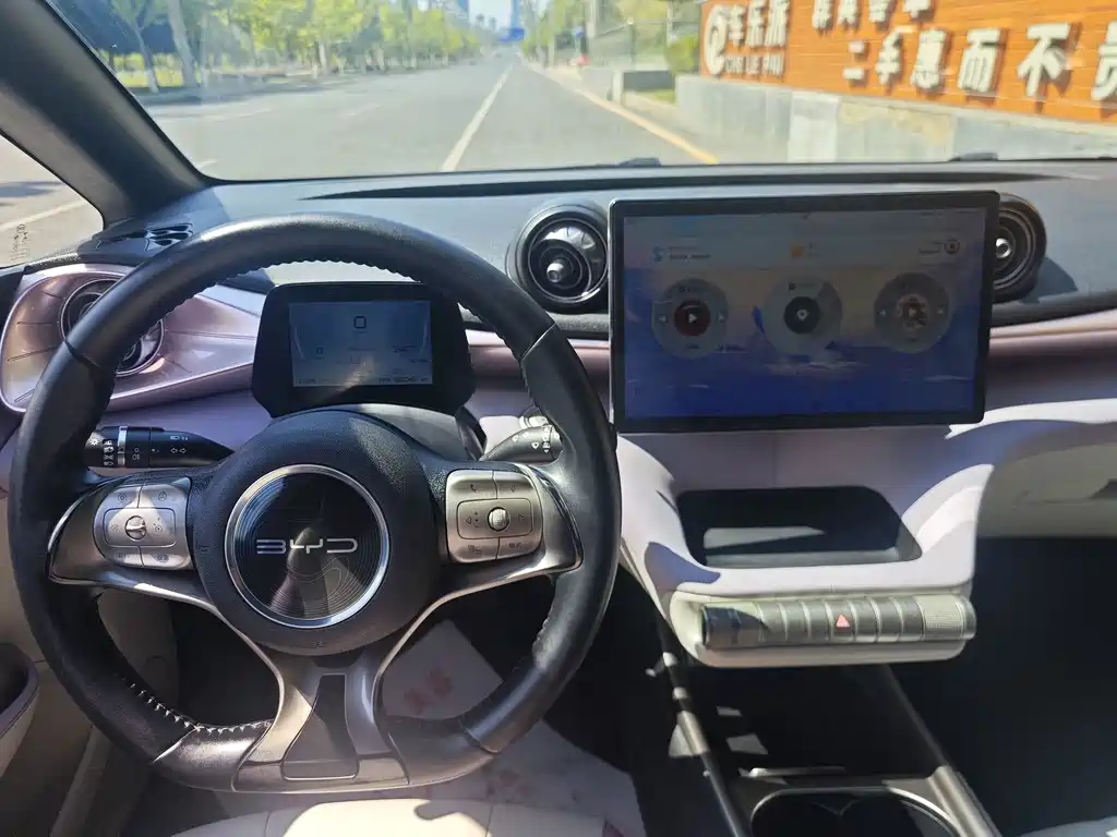 BYD Dolphin — миниатюра 12