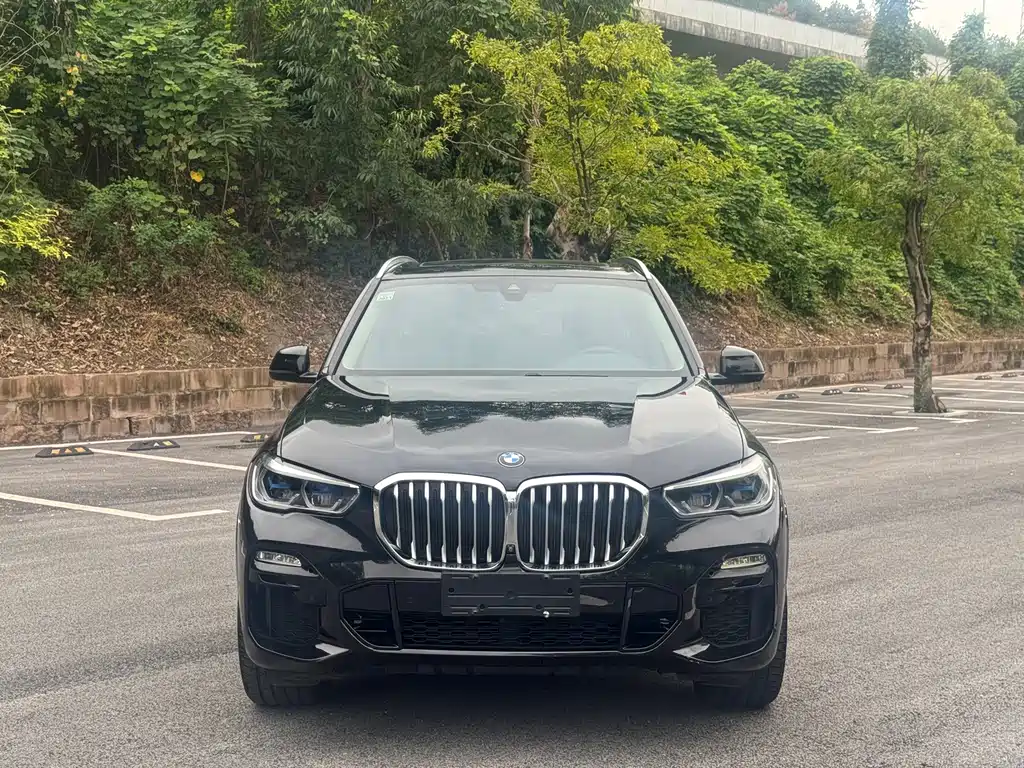 BMW X5 (Import) — миниатюра 2