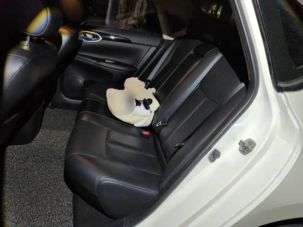 Nissan Sylphy — миниатюра 18