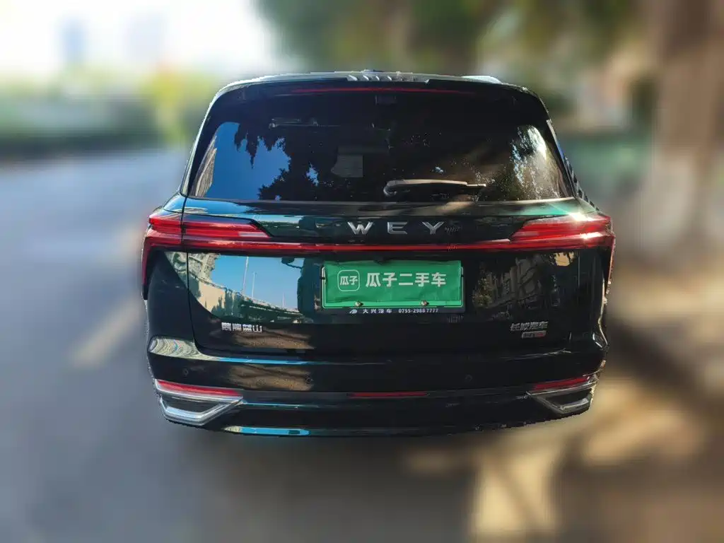 Wey Wey Lanshan — миниатюра 3