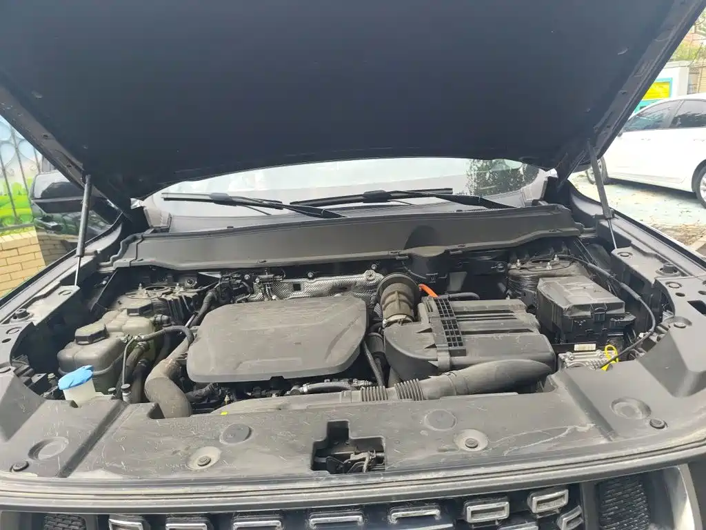 Haval Big Dog PLUS New Energy — миниатюра 17