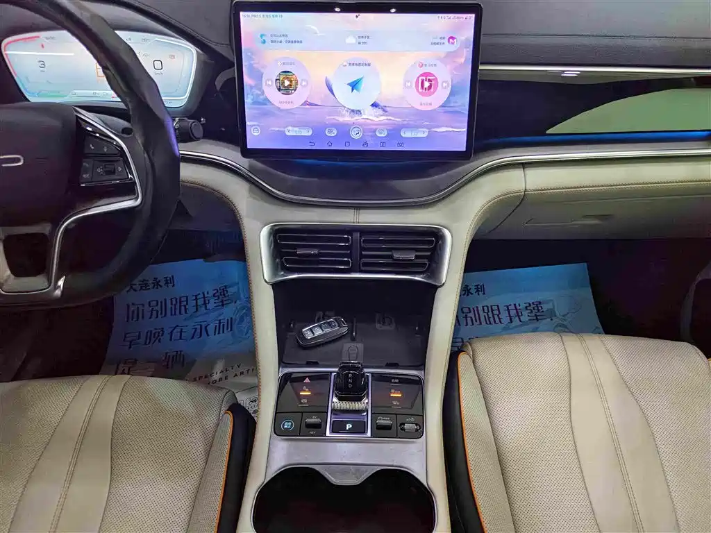 BYD PLUS New Energy — миниатюра 11