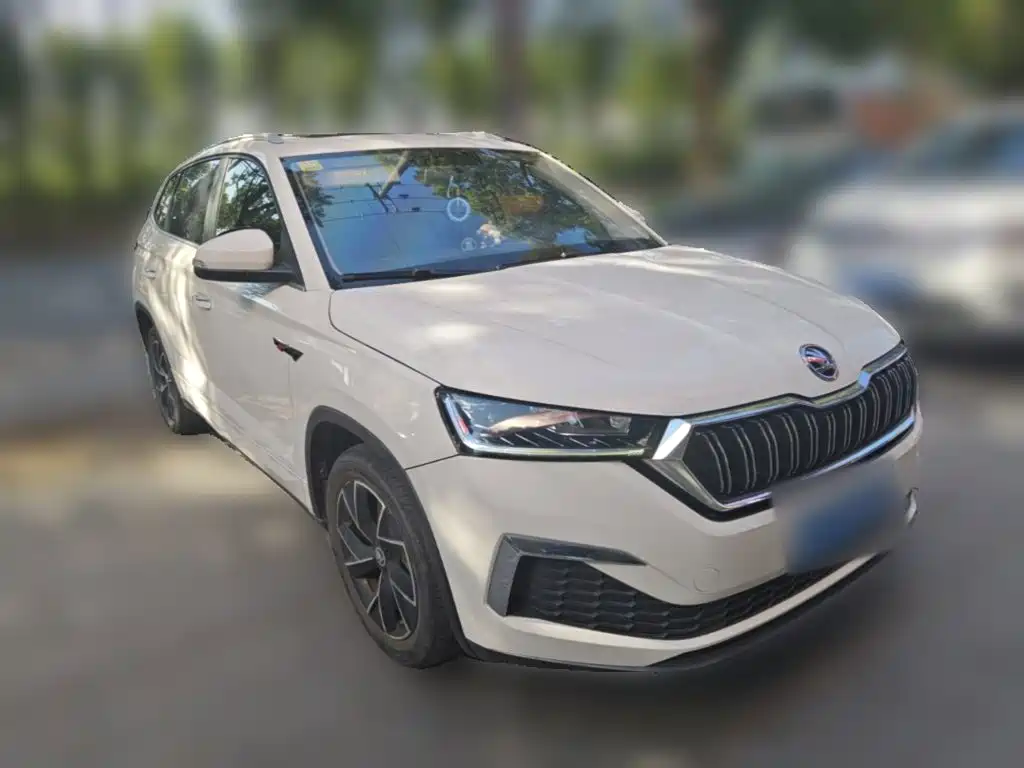 Skoda Kamiq — миниатюра 24