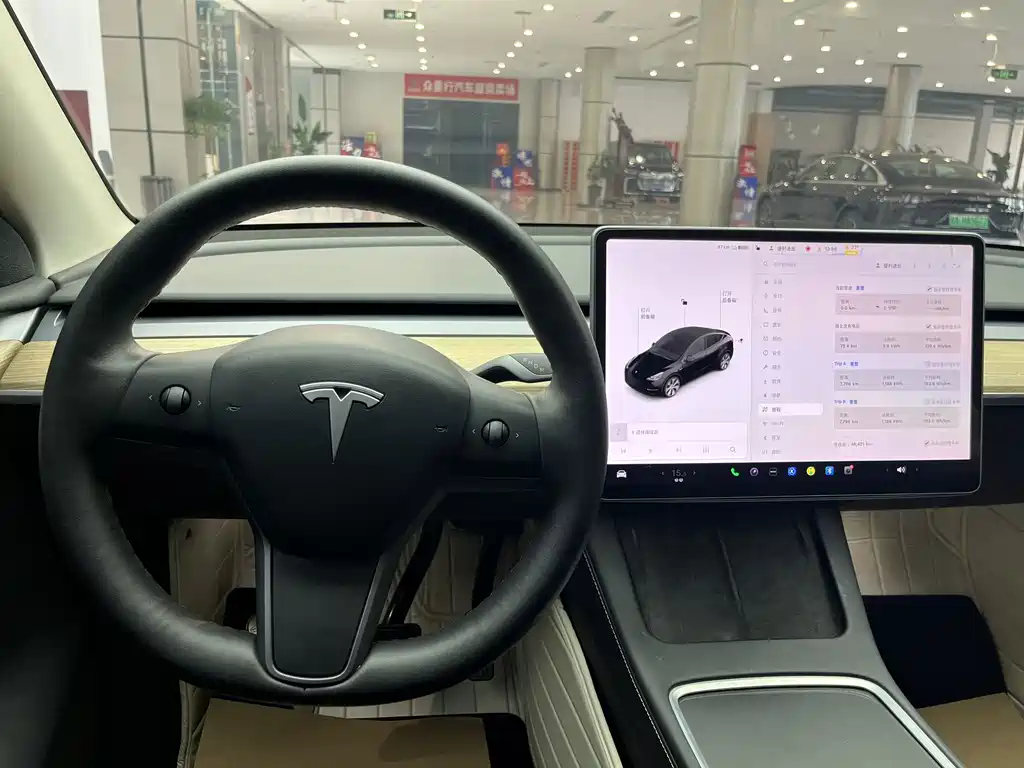 Tesla Model Y — миниатюра 19