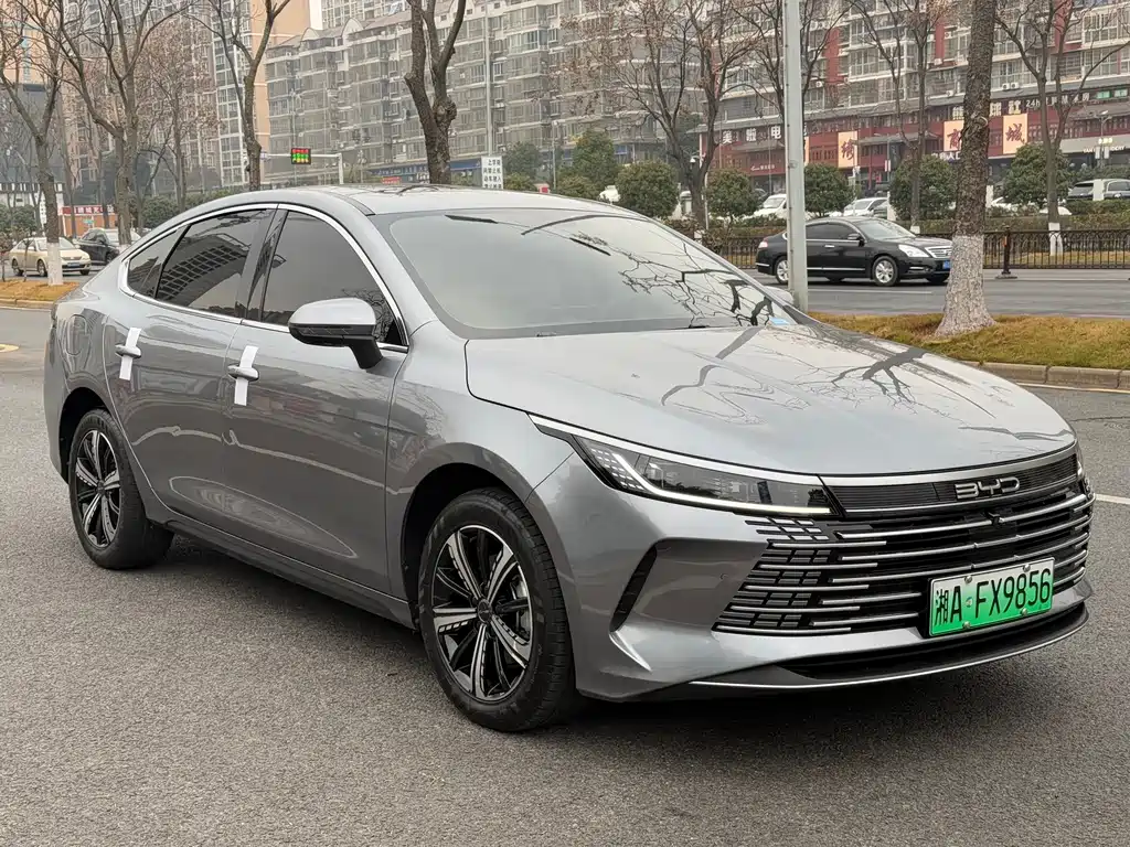BYD DESTROYER 05
