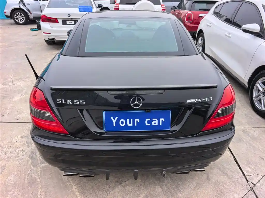 Mercedes-Benz SLK A MG SLK AMG 2010 AMG SLK 55