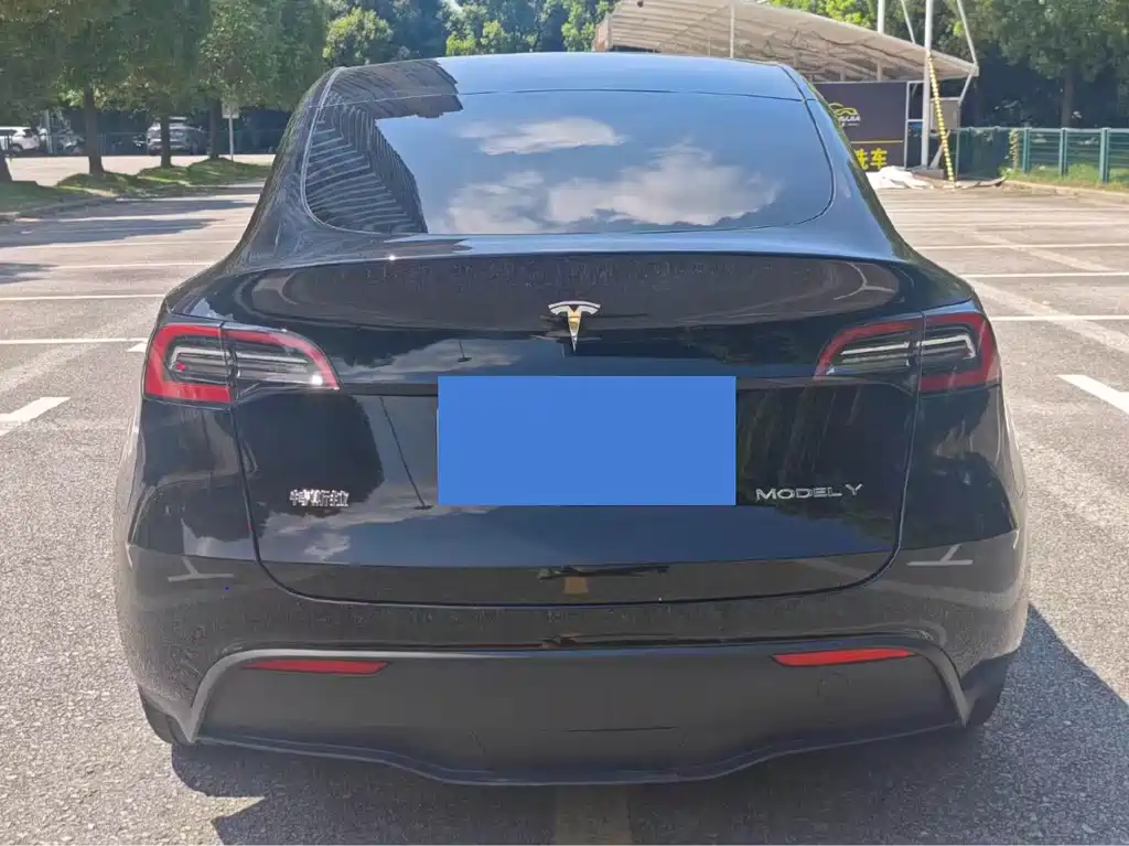 Tesla Model Y — миниатюра 5