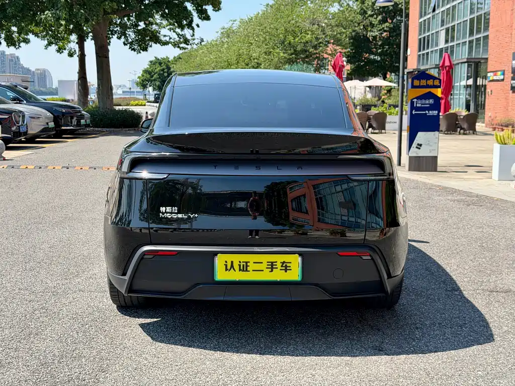Tesla Model Y — миниатюра 4