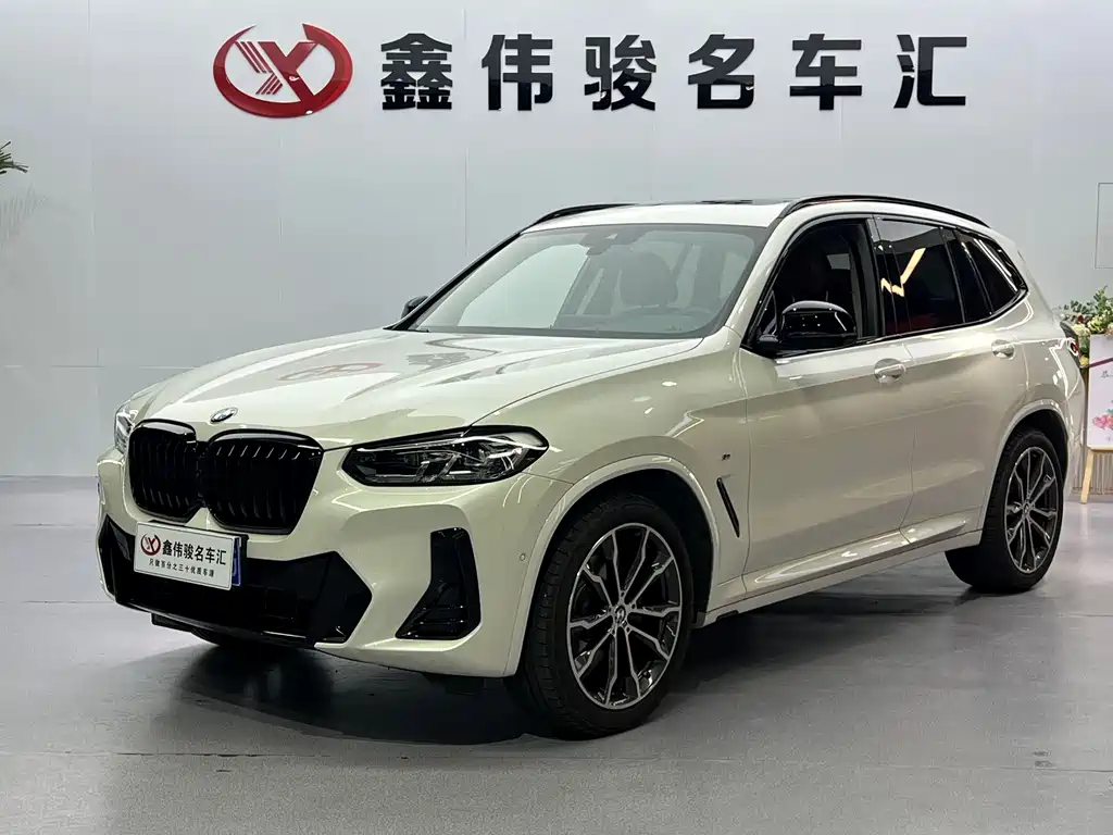 BMW X3 — миниатюра 2