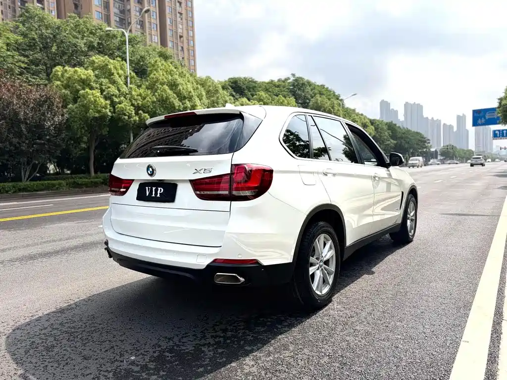 BMW X5 (Import) — миниатюра 9