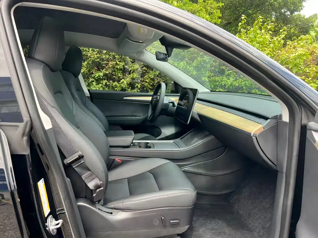 Tesla Model Y — миниатюра 15