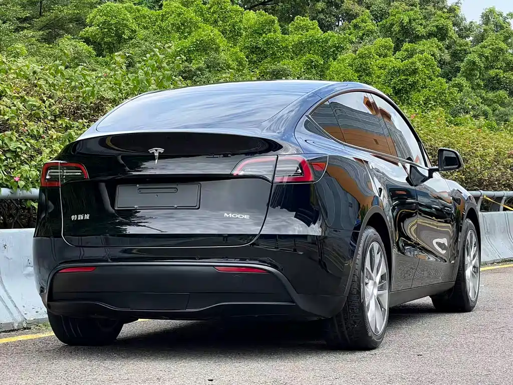 Tesla Model Y — миниатюра 19