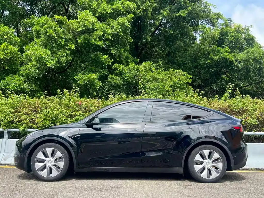 Tesla Model Y — миниатюра 3