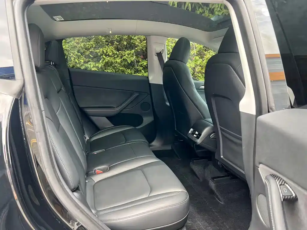Tesla Model Y — миниатюра 16