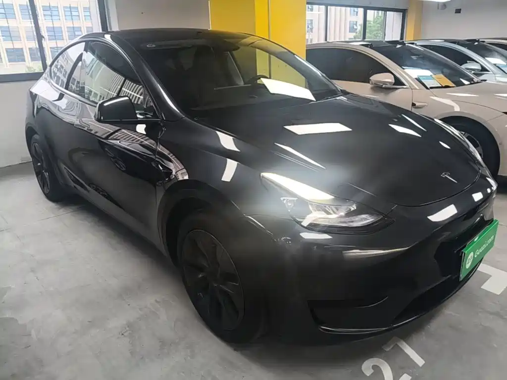 Tesla Model Y — миниатюра 4