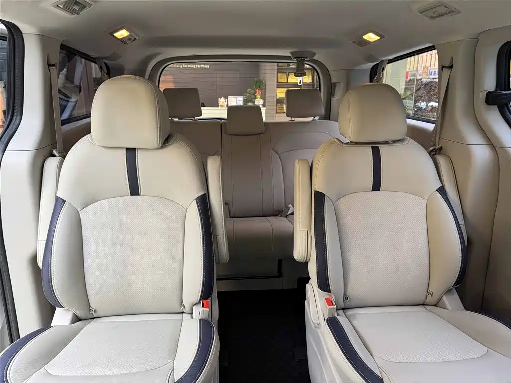 SAIC MAXUS CHASE G10