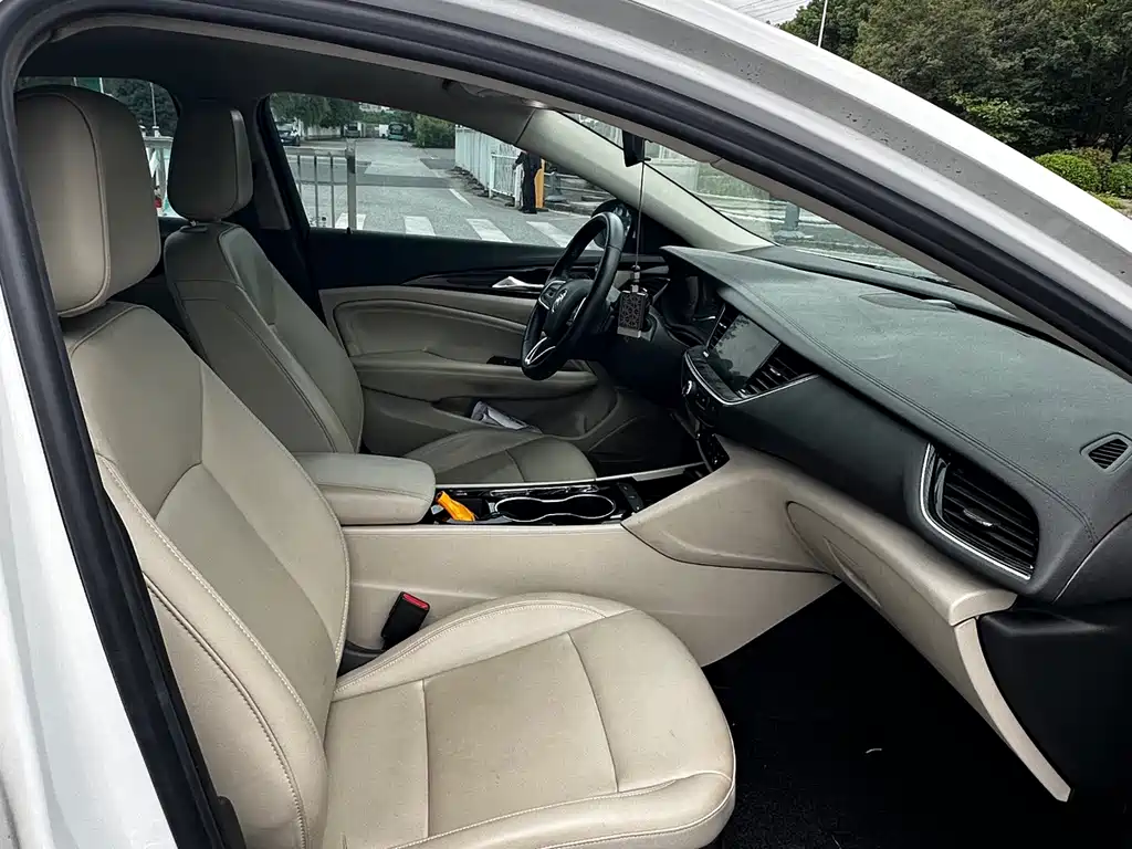Buick Regal — миниатюра 11