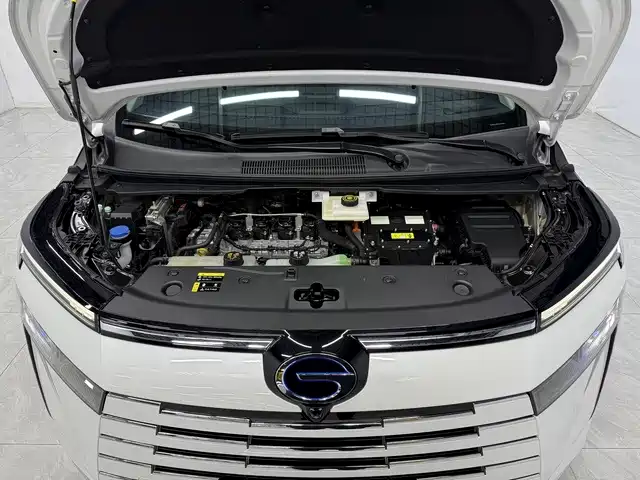 GAC Motor Trumpchi E8 — миниатюра 10