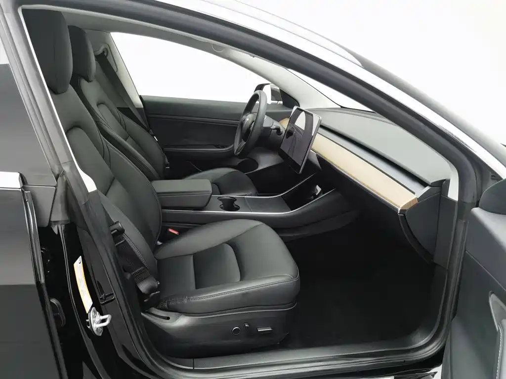 Tesla Model 3 — миниатюра 23
