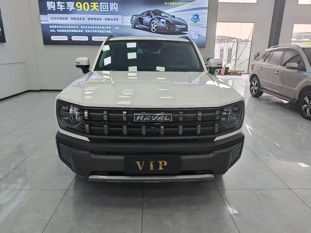 Haval Cool Dog — миниатюра 2
