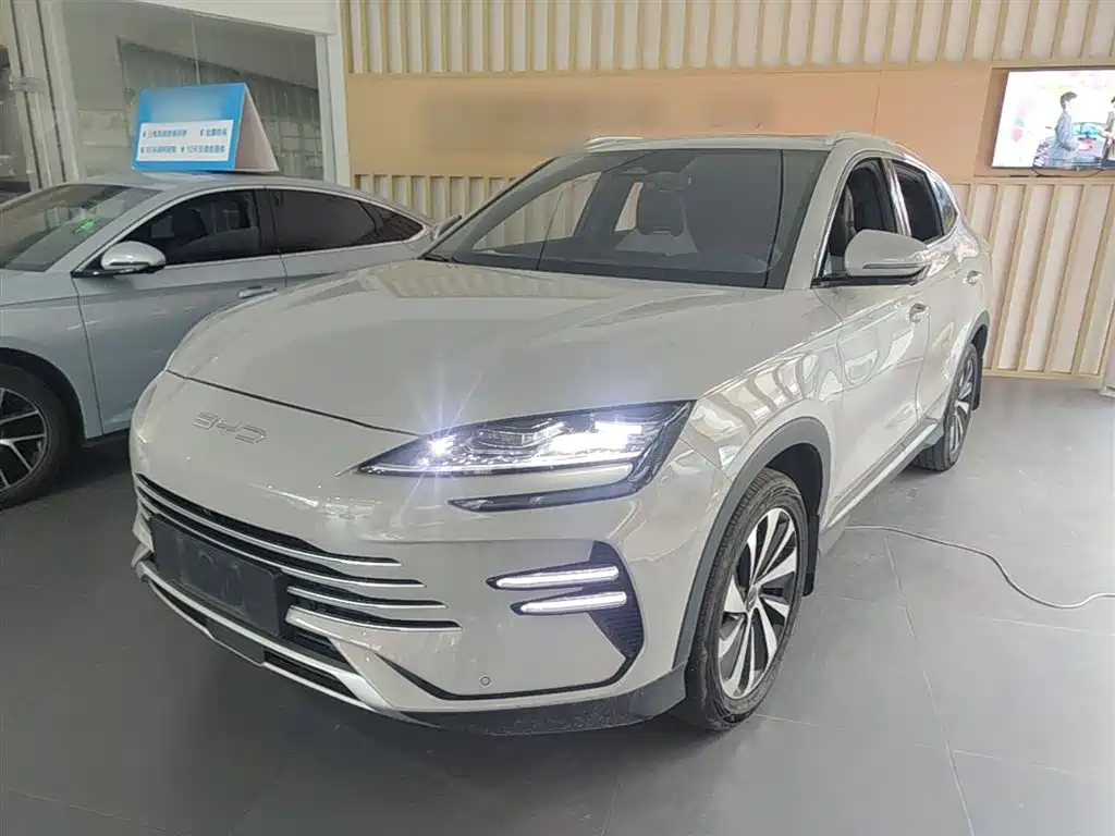Byd PLUS New Energy 2024
