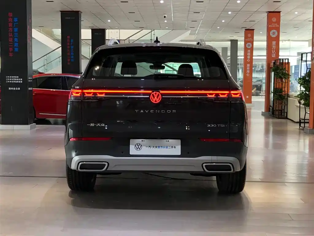Volkswagen Tavendor — миниатюра 3