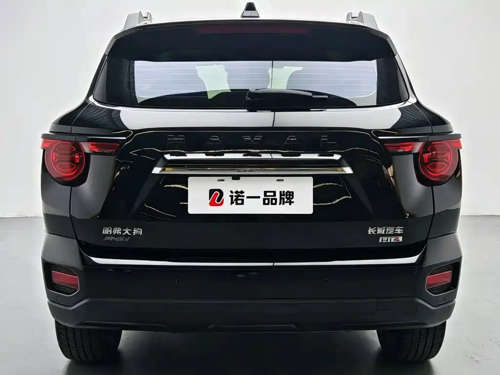 Haval Big Dog PLUS New Energy — миниатюра 5