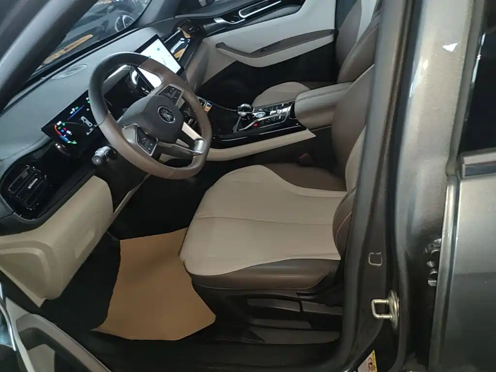 BYD Qin PLUS — миниатюра 15