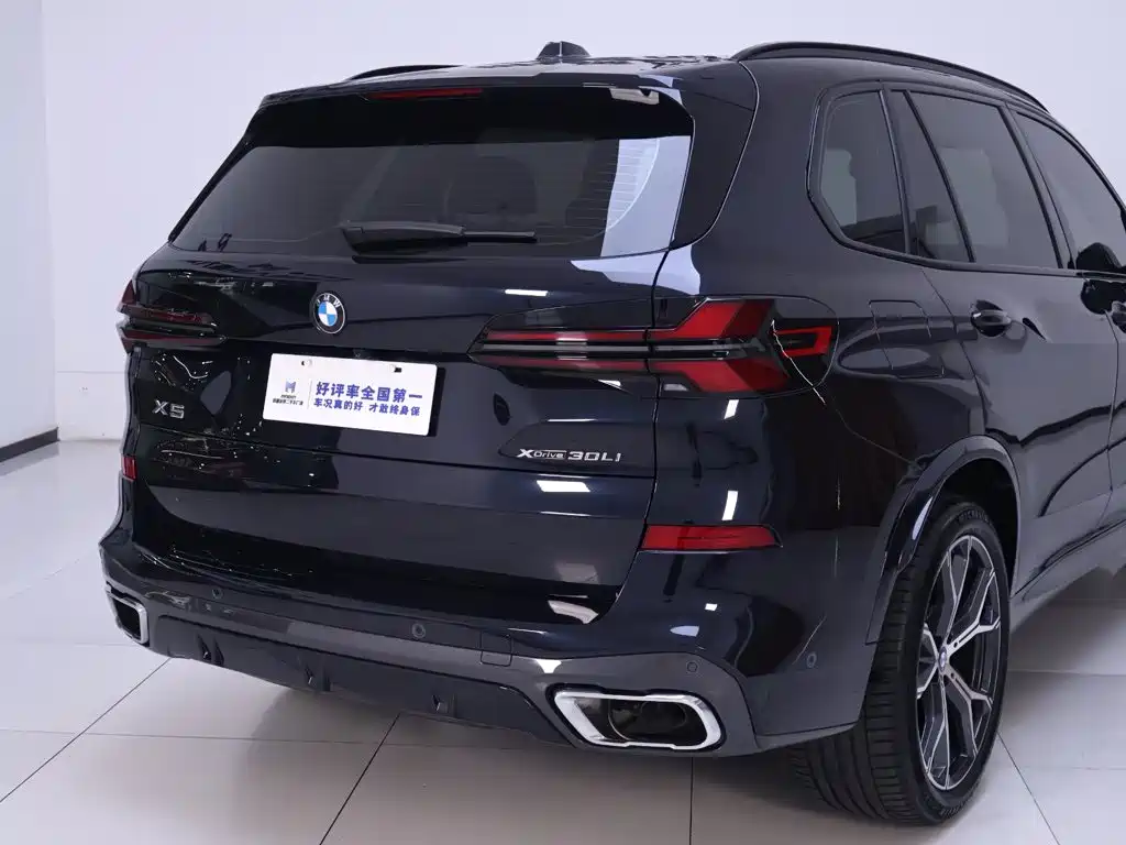 BMW X5 — миниатюра 8