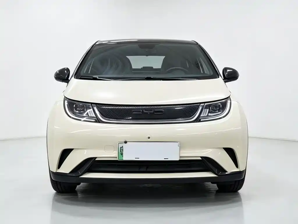 BYD Dolphin — миниатюра 2