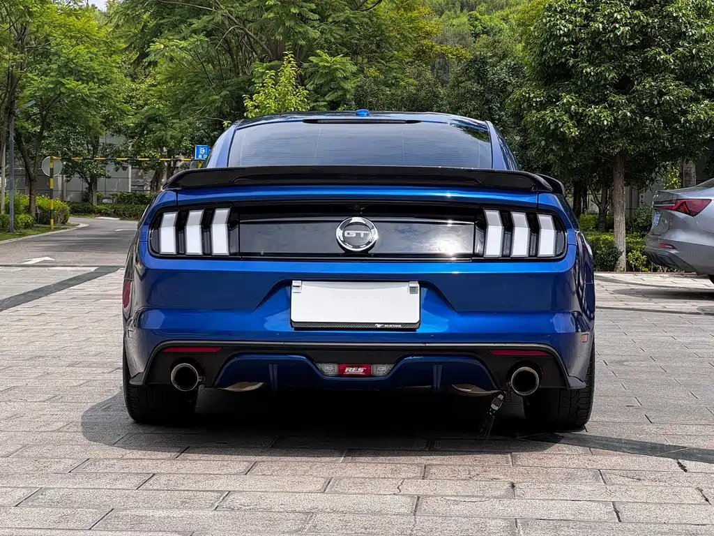 Ford Mustang — миниатюра 9