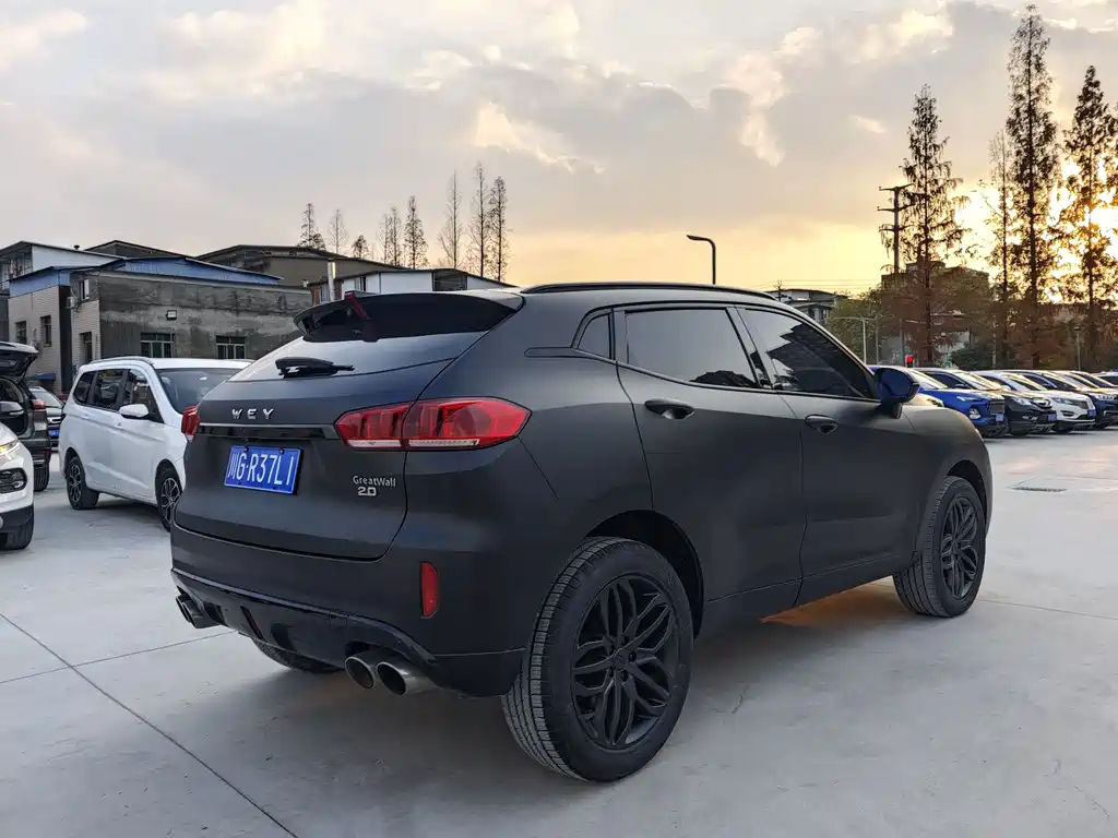 WEI PAI WEI BRAND VV5