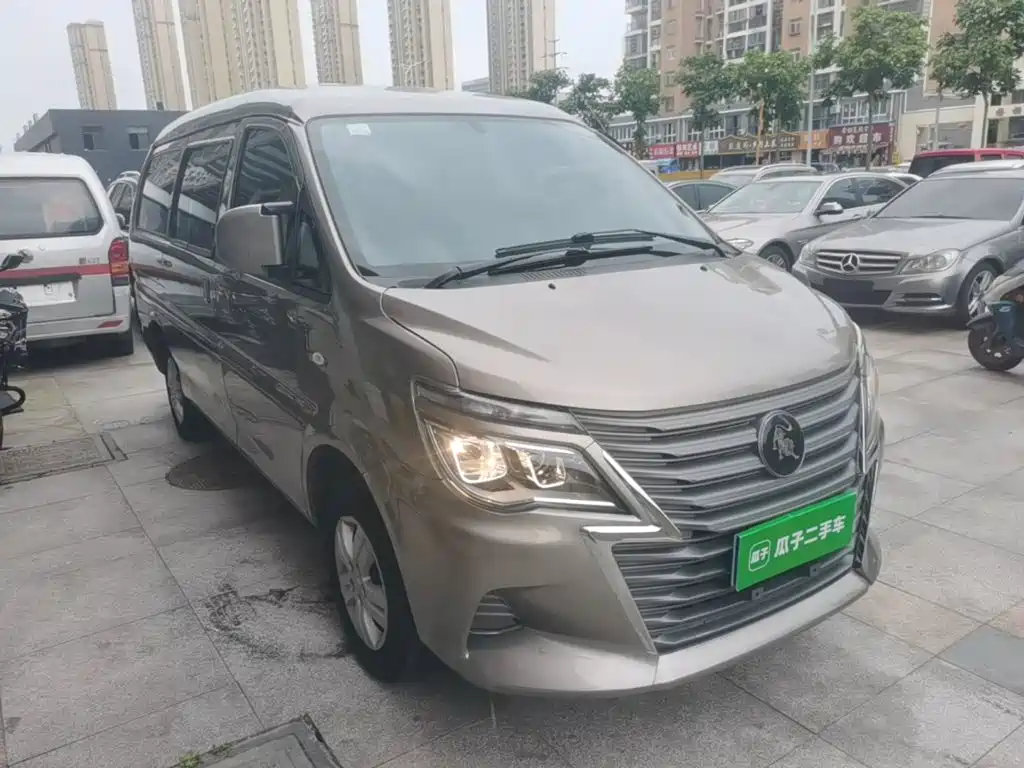 Fengxing Lingzhi — миниатюра 4
